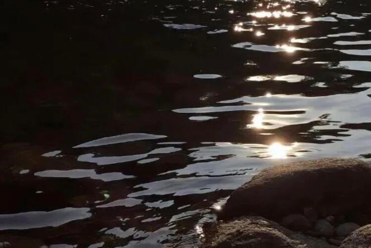 抑郁文案句子100个字