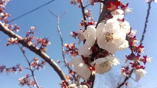 四月你好英文文案