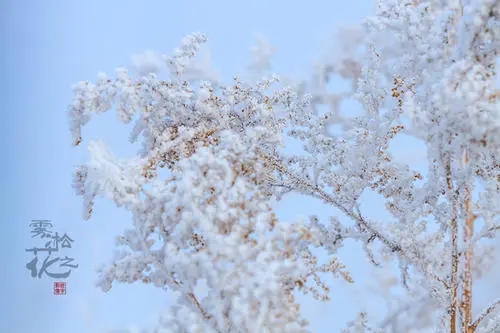 雾凇美图文案