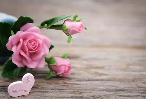 跟花有关的朋友圈文案