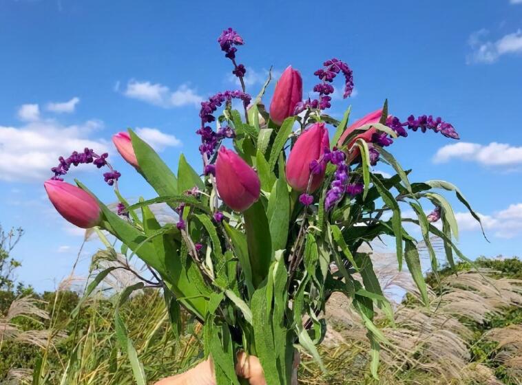 晚安发朋友圈的文案