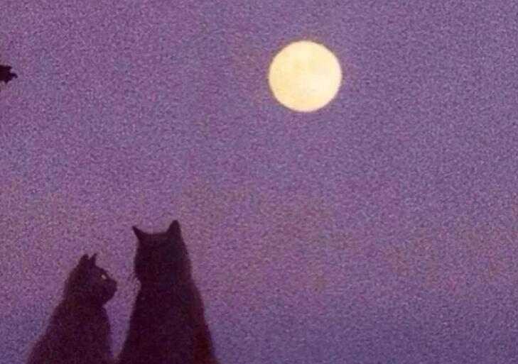 望着月亮想着你文案