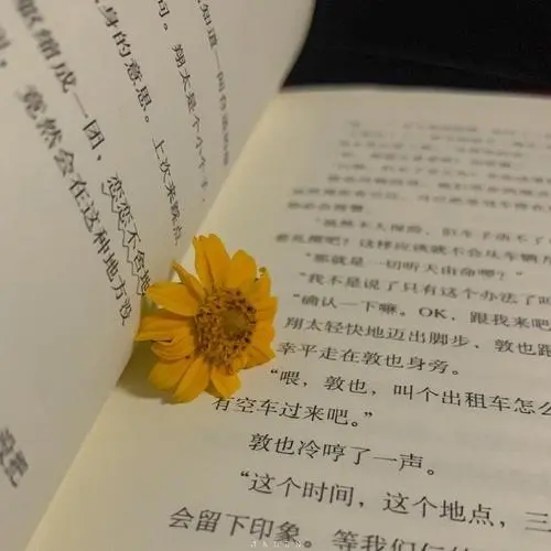 特别甜的长文案