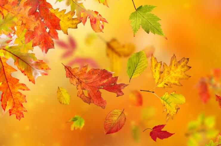 房地产秋季文案