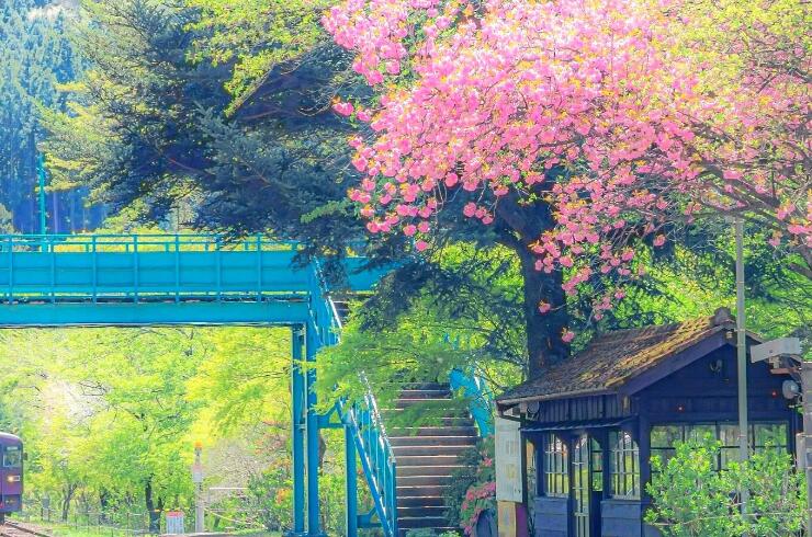 温柔对待生活的文案