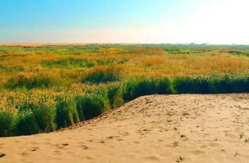 关于内蒙古的文案