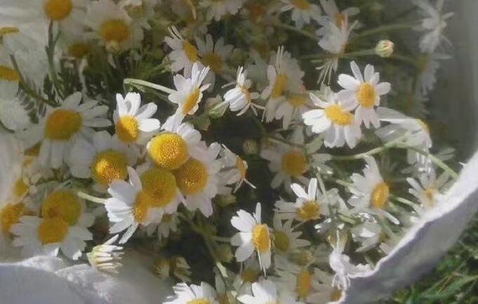 关于生活的高级文案