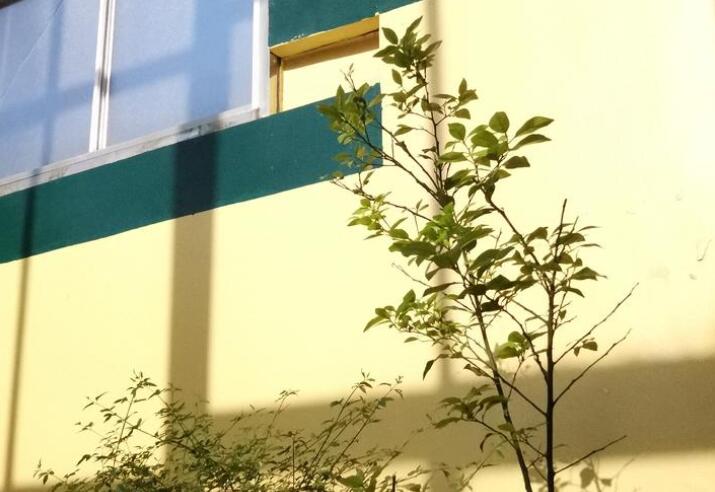 初中毕业教师朋友圈文案