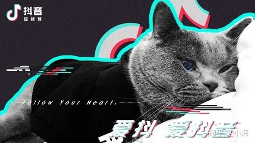 抖音最火文案视频