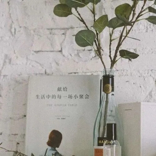 抖音陌生人送花的文案