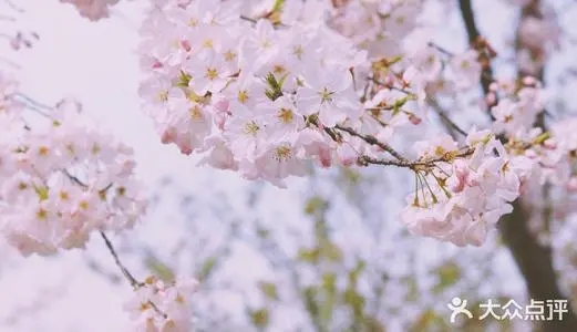 分享美好的朋友圈文案