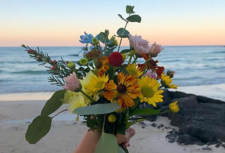 晚安发朋友圈的文案