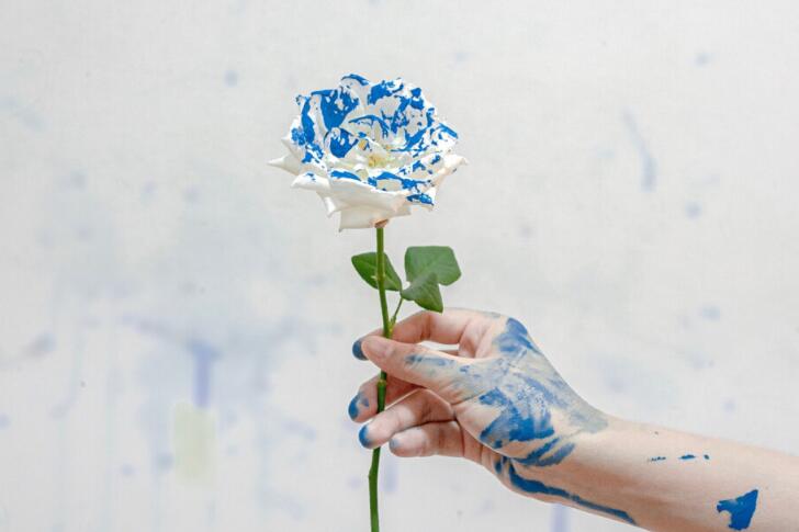 关于作文唯美的文案