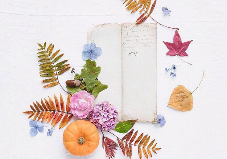 朋友圈早安可爱说说文案