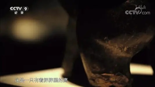 纪录片文案字幕