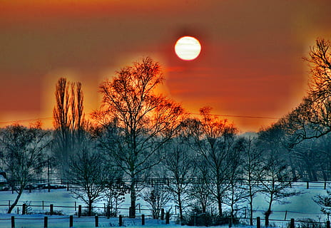 调皮的表白文案