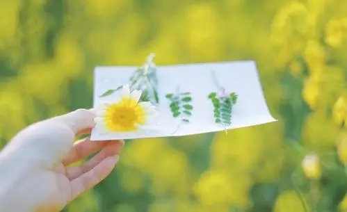 正能量励志文案100字