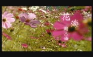 歌曲花海文案