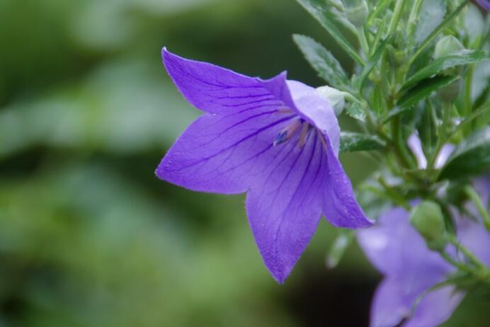 励志早上好文案