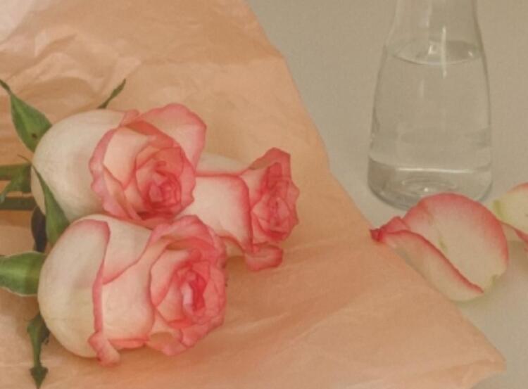 分享歌曲的朋友圈文案