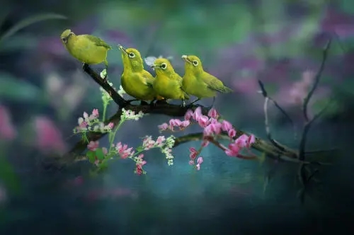 元气满满的早安文案