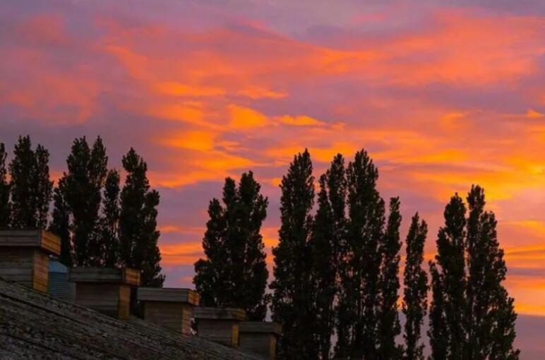 优雅浪漫的法式文案