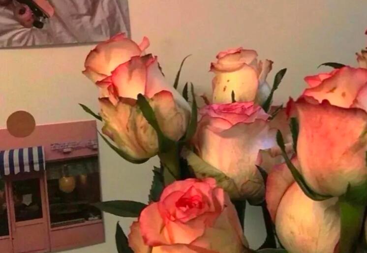 不负青春的文案