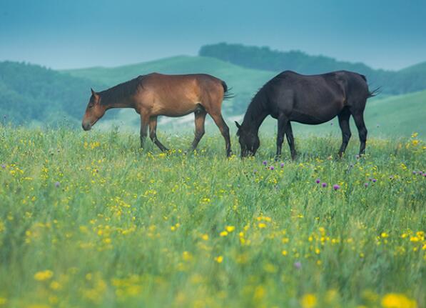 旅行朋友圈文案简短