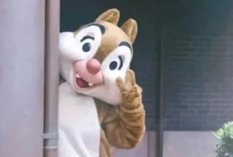 文案朋友圈沙雕可爱熬夜