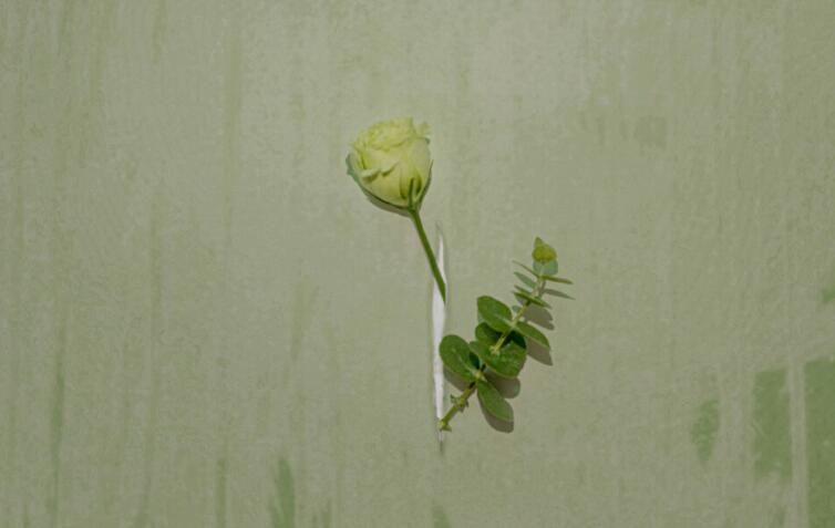 关于作文唯美的文案