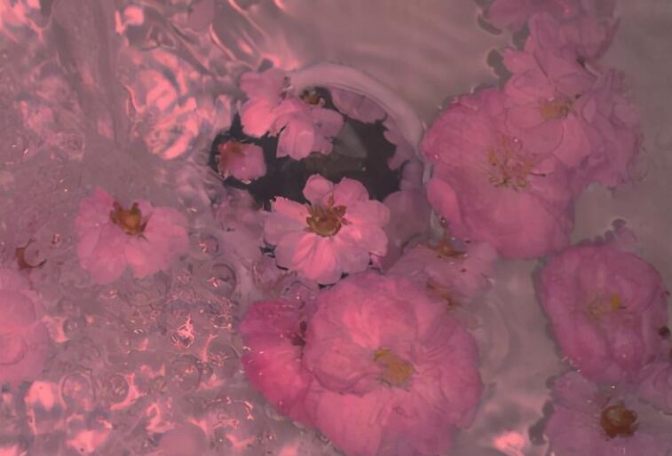 小红书情侣文案