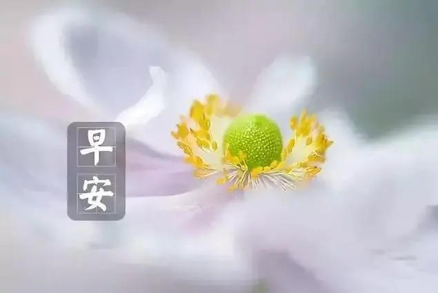 早晨朋友圈文案及配图