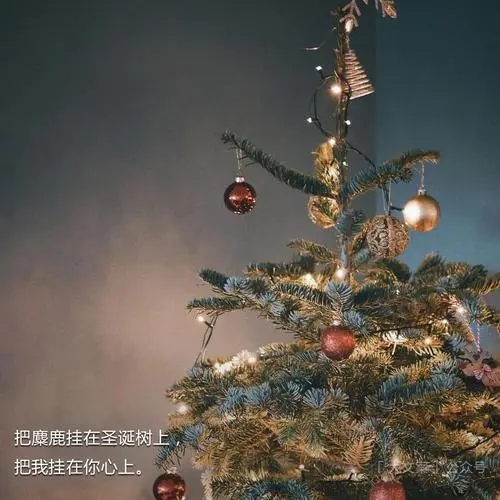 迎接圣诞节的文案