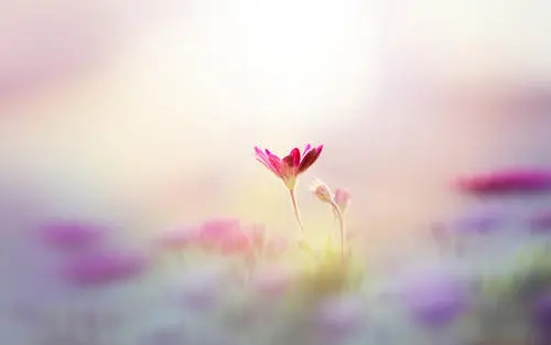 优质朋友圈文案