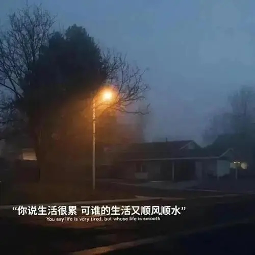 适合发视频的文案图片