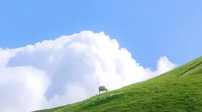 qq说说文案女生