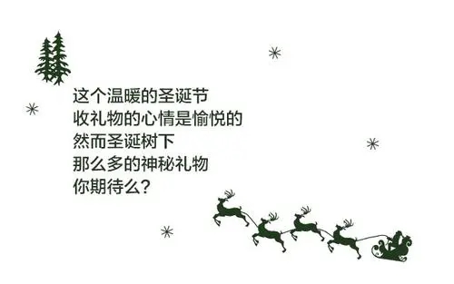 迎接圣诞节的文案