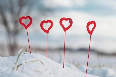 委婉表达心情不好的文案