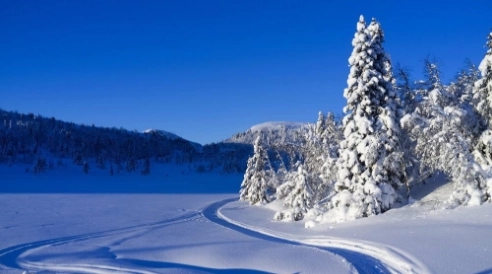 关于雪景的文案