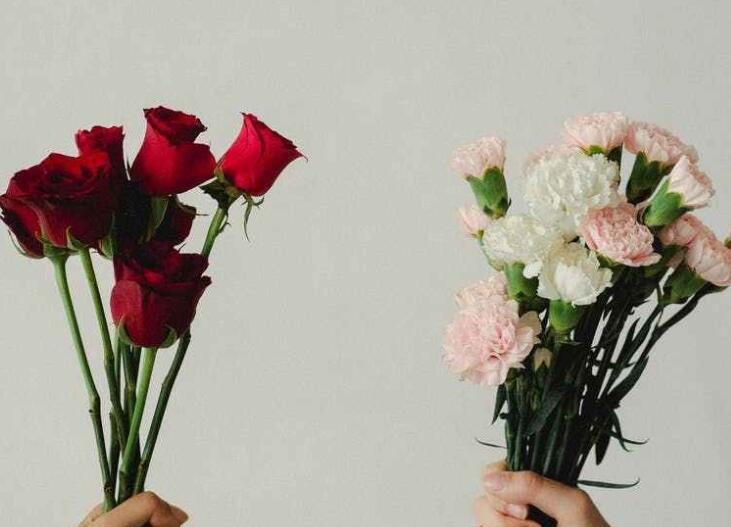 小学母亲节美篇文案