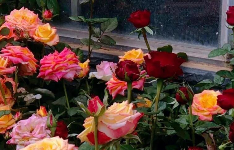 伤感的文案网名