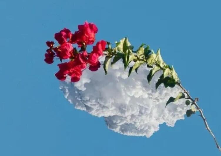 文艺的英文文案