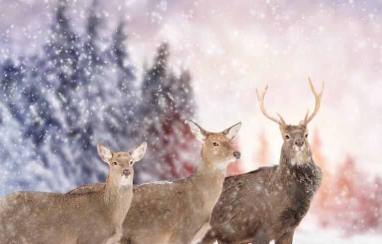 压抑憋屈的心情文案