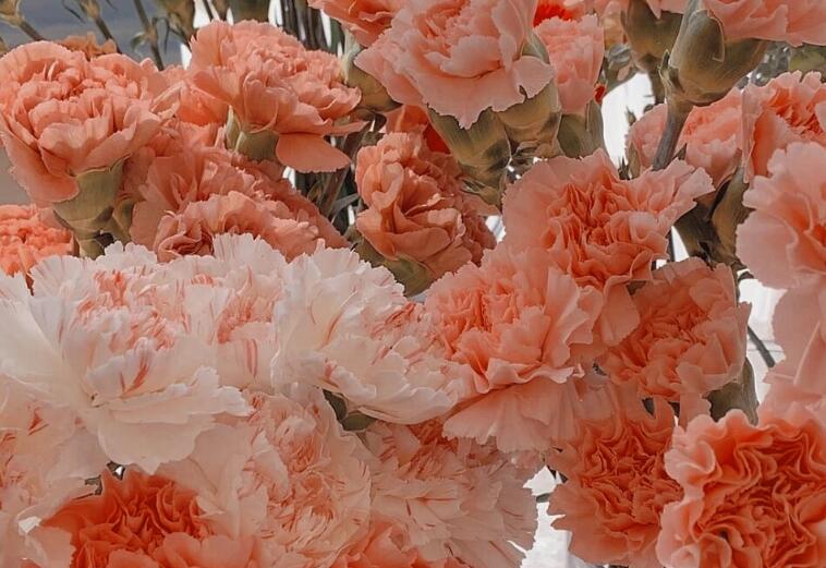 好久不见的文案短句