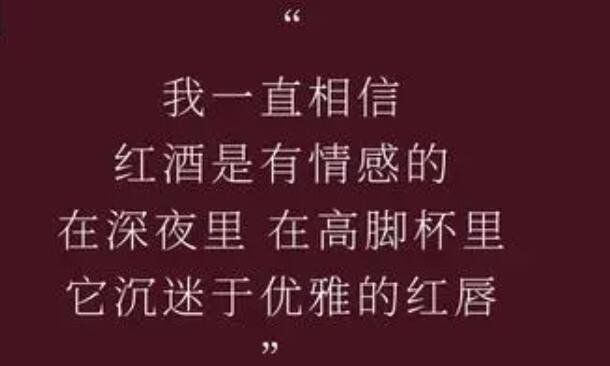 关于偏执的文案