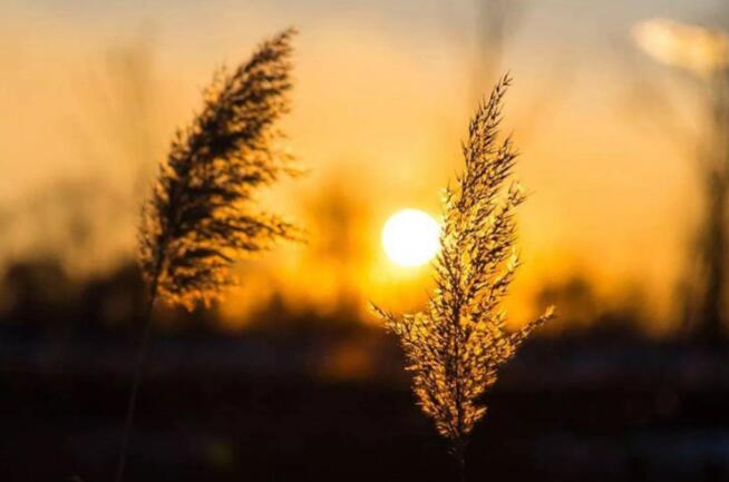 抖音的文案句子