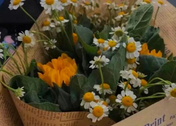 不负青春的文案