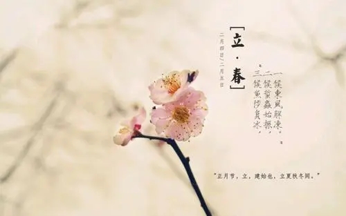 立春的文案句子