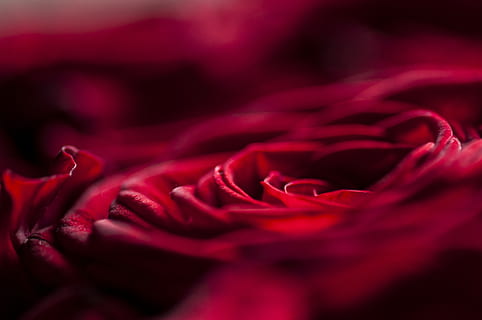 婚礼邀请发朋友圈文案