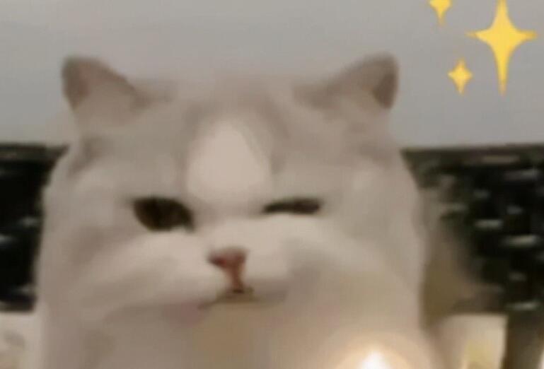 游玩文案朋友圈搞笑